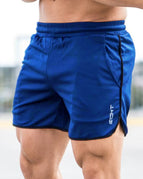 Royal Blue / M
