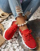 Red / 36(US5)
