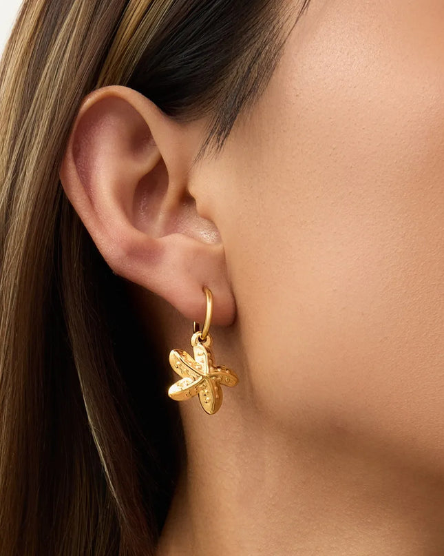 5b32b8fe-8650-4eb2-b0a4-c74cb8b62dc1-Max-Origin