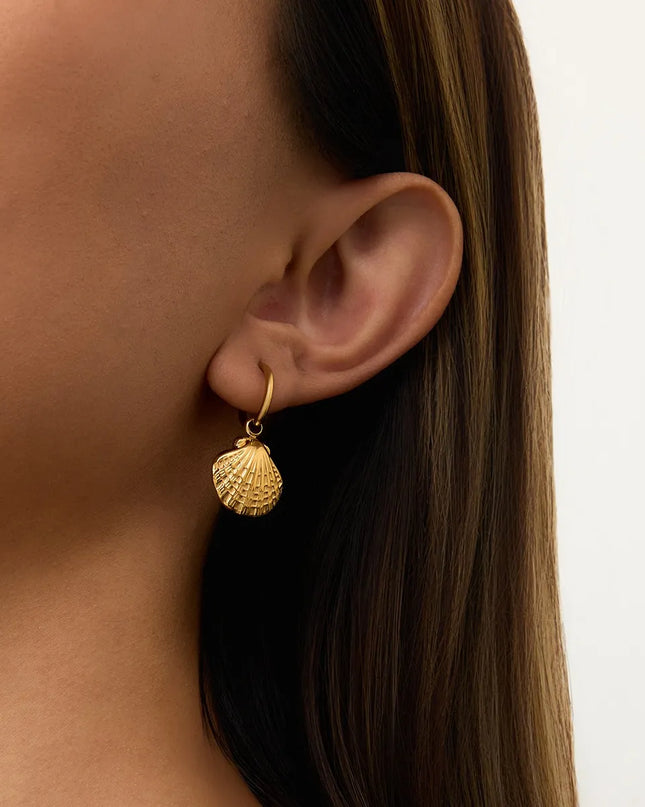 c133f204-5315-4a96-8708-b5f4477c403f-Max-Origin