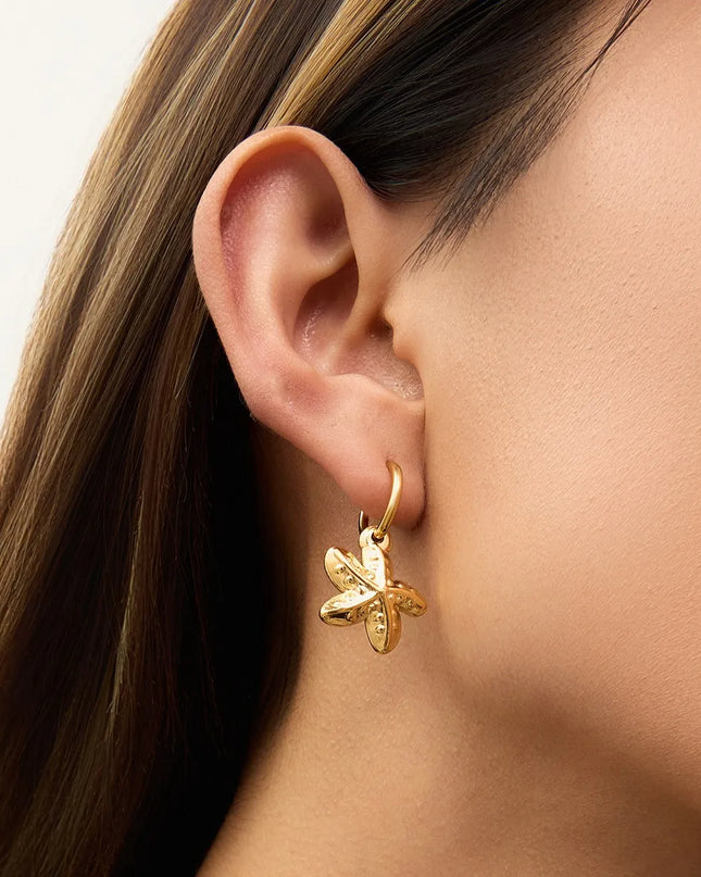 e8b7a424-7a84-4b01-8674-ce2e6b07f475-Max-Origin