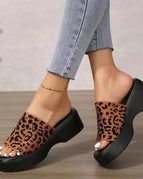 Leopard / 35(US4)